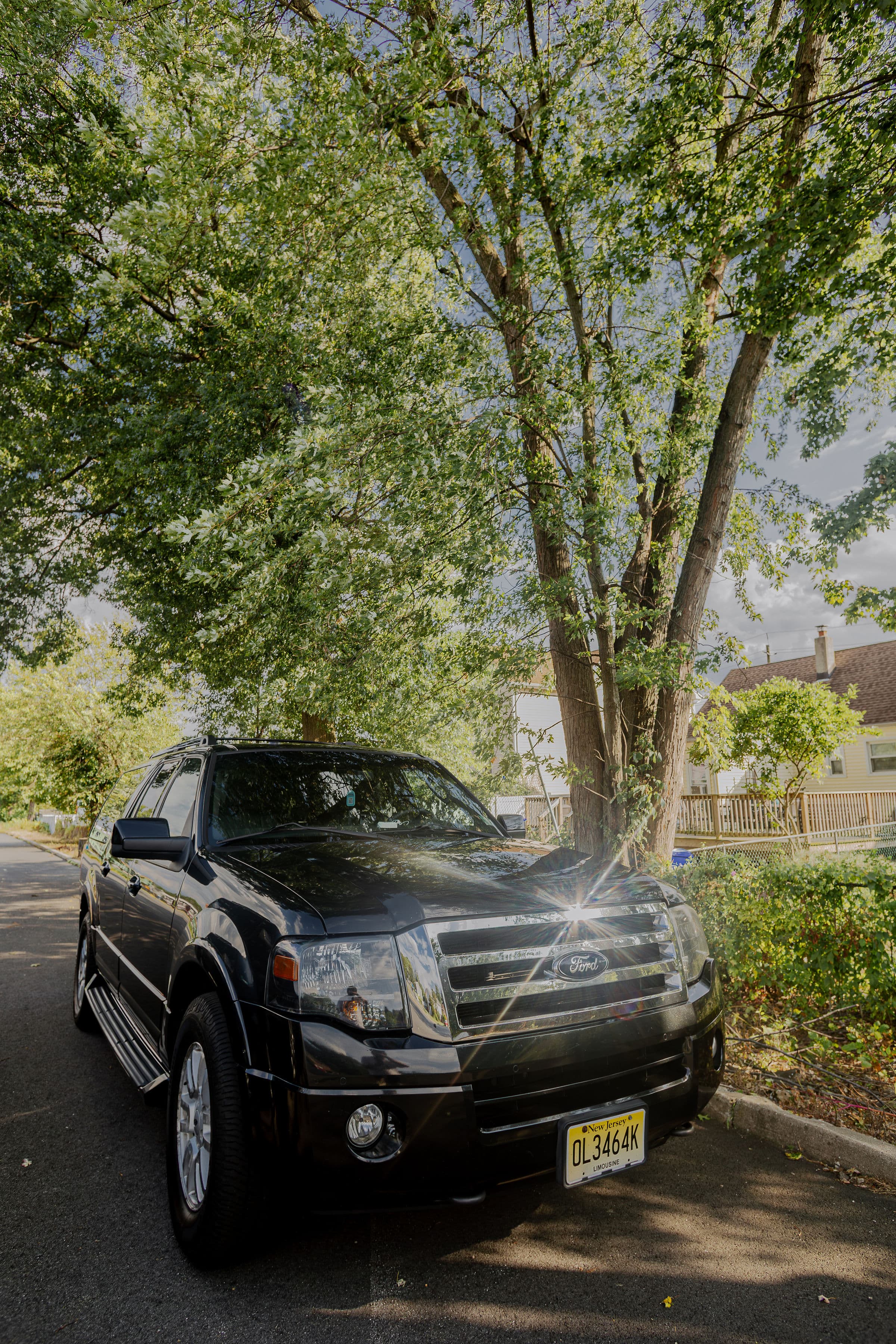 Car Photo 6